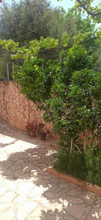 Villa Family Bitri Piqeras Exterior photo
